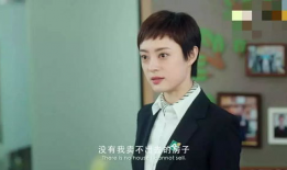 孙俪最近热播的电视剧,新剧聚焦宫廷权谋，揭秘后宫风云